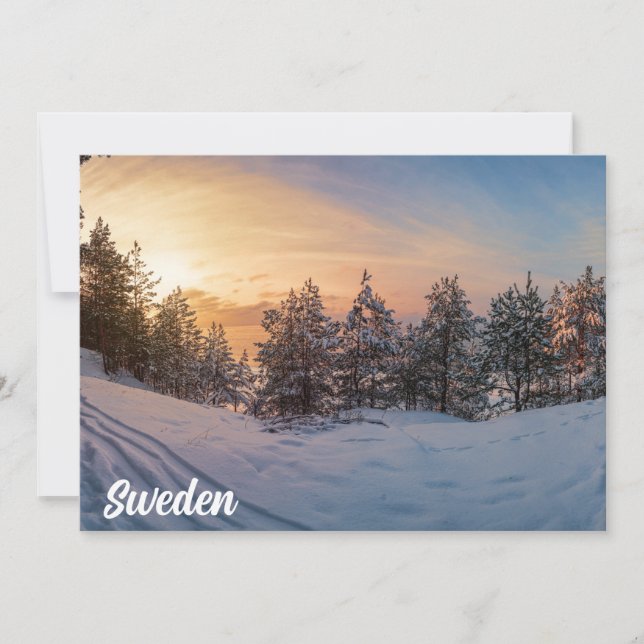 Sunset sobre floresta de neve congelada perto do m (Frente)