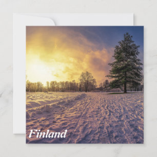 Sunset sobre o parque de inverno de neve