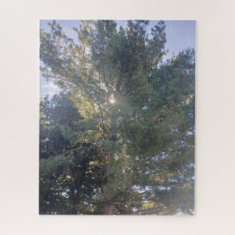 Sunshine Através Da Quebra-cabeça Da Árvore Jigser