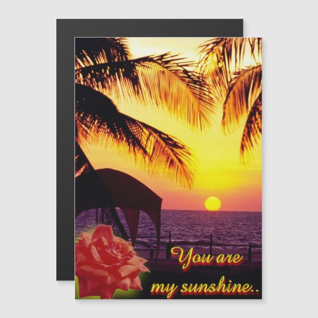 Sunshine Love (Frente/Verso)