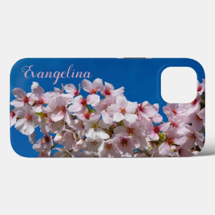 Super Primavera Cherry Blossoms Sakura Nome person