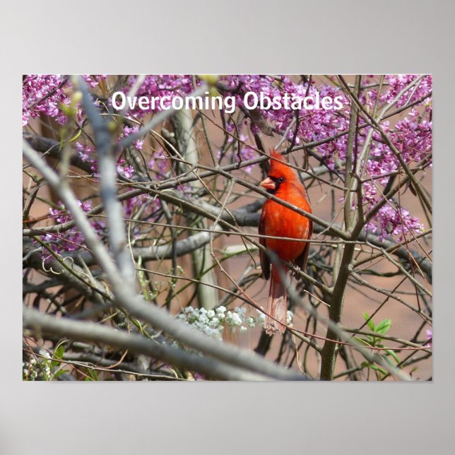 Superando obstáculos - poster (Frente)