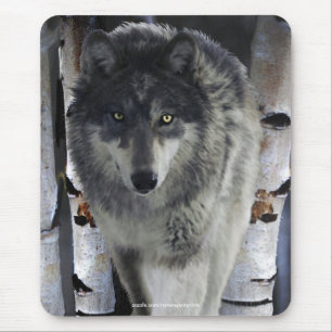 Suporte ALFA Mousepad dos animais selvagens do