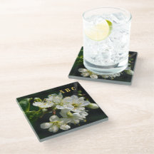 Suporte de Vidro Flor de Ameixa Branca Botânica Es