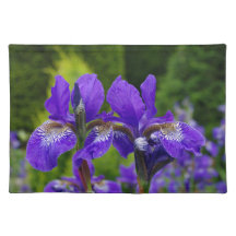 Fotografia floral Iris