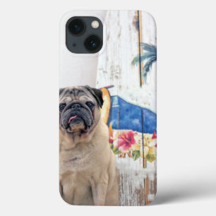 Surf Pug
