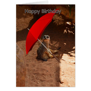 Suricata Sob Guarda-Chuva, Cartão de Aniversário