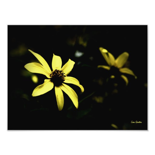 Susan Olhada Negra - Impressão de Fotografia L (Frente)