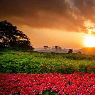 Sussurros de encantamento: O Realm Mágico Celular 