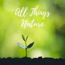 All Things Nature