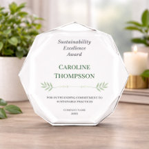 Professional  Recognition Performance Awards 