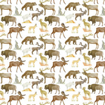 National Parks Wildlife