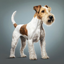 Portrait Of A Wire Hair Fox Terrier