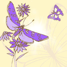 Peach Purple Butterfly Birthday Collection