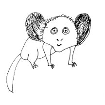 Aye Aye Gifts (Badly Drawn)