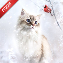 Kitten & Red Cardinal in Snow
