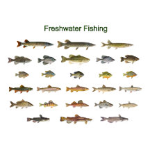 Freshwater Fishing Logos