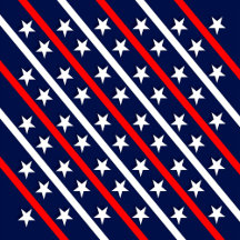 Political-Campaign Items