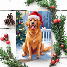 Pet Christmas Cards