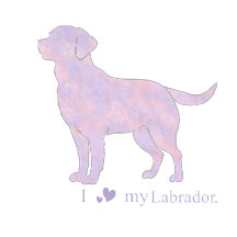 Pastel Labrador Retriever Gifts  Custom Dog Design