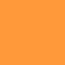 Solid Orange Color   Hex# ff983a