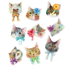 リボン猫(cat with ribbon/gato com fita)