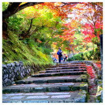 Wabi-Sabi – Japanese Aesthetic Art Collection