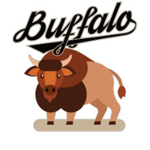 Buffalo NY