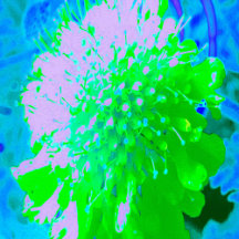 Abstract Retro Flower in Lavender and Lime Green