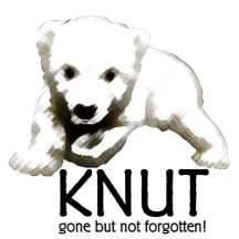 Animals We Loved, Gone But Not Forgotten