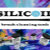 Silicoil