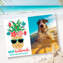 Pet Christmas Card Collection