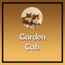 Garden Cats