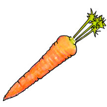 Carrot