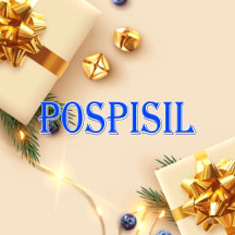Pospisil_Name T-Shirt