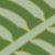 palm air