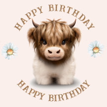 Cute Highlands Scottish Cow Collection