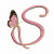 Simplicity Gifts