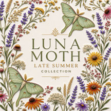 Luna Moth Late Summer Floral Collection