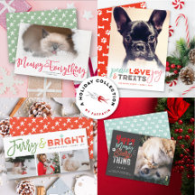 ALL DOG CAT PET HOLIDAY CARDS   CHRISTMAS & HNY