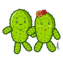 Cactos - Amor perfeito