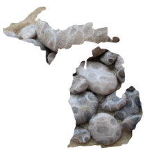 Silhouette of Michigan with Michigan Rocks!