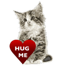 Hug Me