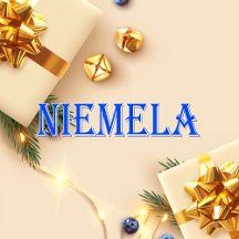 Niemela_Name T-Shirt