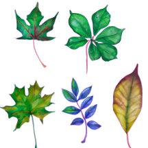 Green and Blue Watercolor Leaves