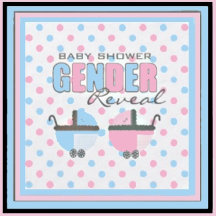  Pink and Blue Baby Shower