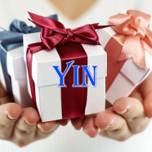 Yin_Name T-Shirt