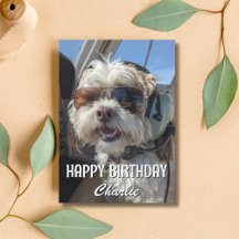 Funny Birthday Dog Pilot Gifts for Kids and Adults