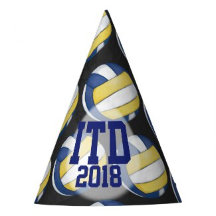 Volleyball Party Set