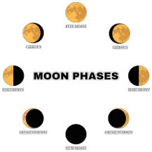 MOON PHASES(月の満ち欠け)
